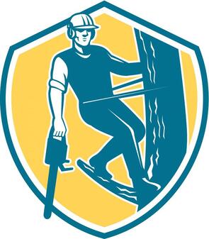 bedford-tree-service-company-home