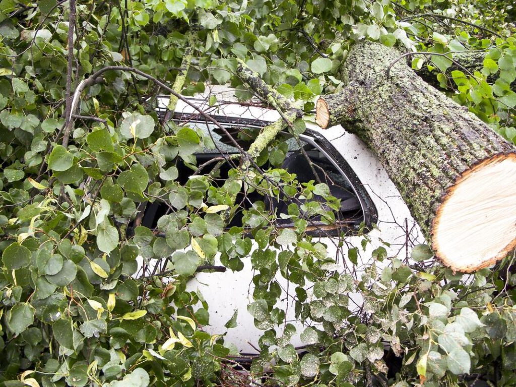 bedford-tree-service-company-storm-damage-clean-up-1_orig